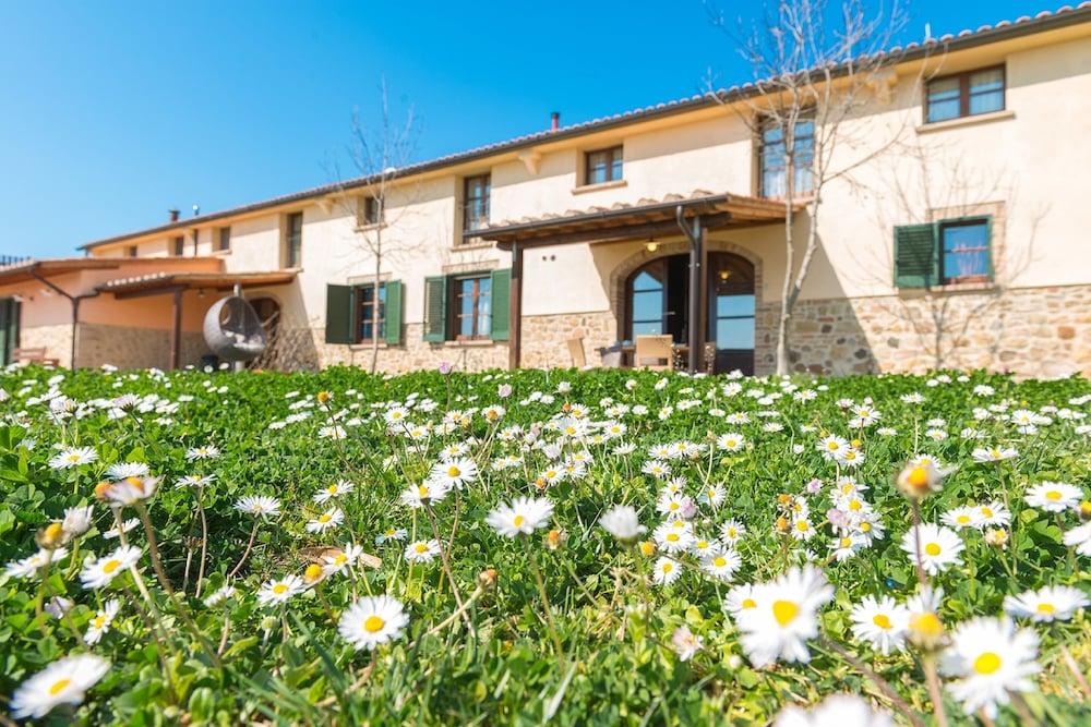 B&B Diacceroni Villamagna  Bagian luar foto